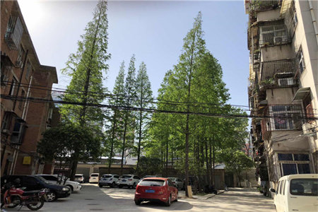 龙都现代城3室2厅1卫117㎡